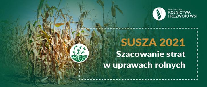 susza