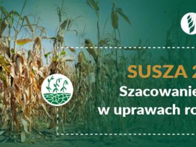 susza