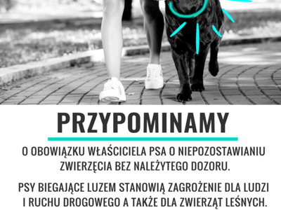 Plakat przypominający o obowiązku właścicieli psa