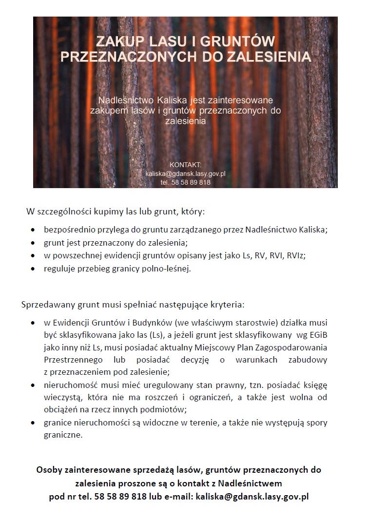 Oferta kupna lasów i gruntów przeznaczonych do zalesienia