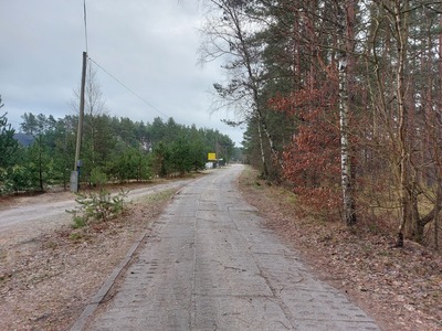 Ulica Leśna w Borsku