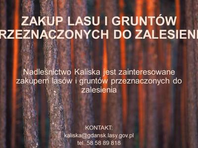 Zakup lasu i gruntów przeznaczonych do zalesienia