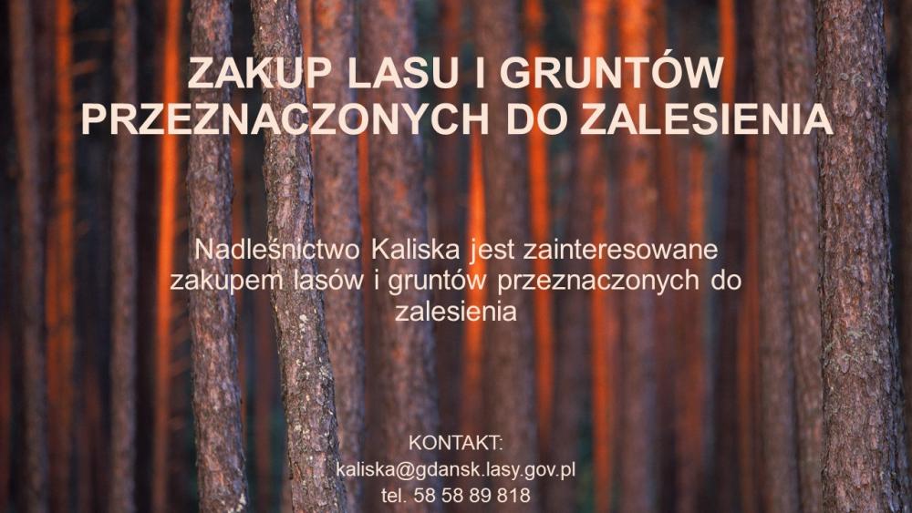 Zakup lasu i gruntów przeznaczonych do zalesienia