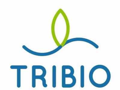Logo Tribio