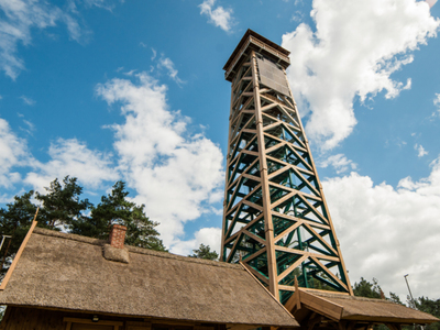 Wieża widokowa w Przytarni nieczynna