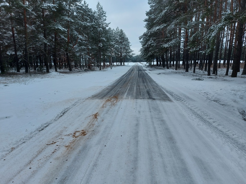 Droga z Zamościa do Mokrego 