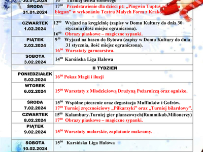plan ferii 