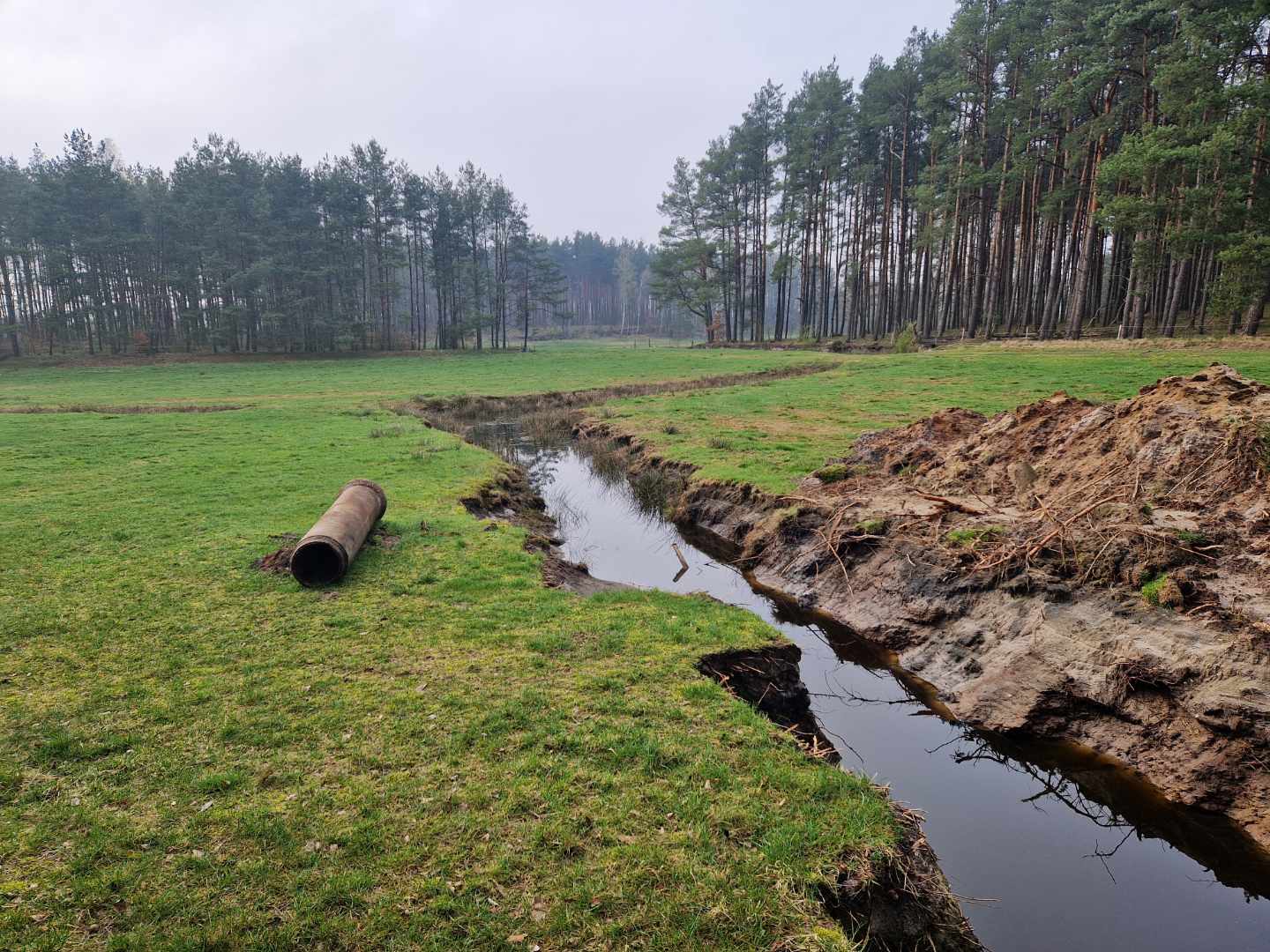Przywrócono drożność rowów melioracyjnych.