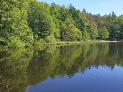 Zdjęcie przedstawia Jezioro w Pękaninie.