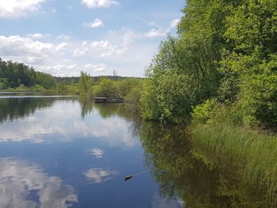 Zdjęcie przedstawia Jezioro w Pękaninie.