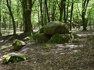 Megality w Borkowie