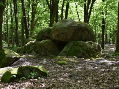 Zdjęcie przedstawia grobowce megalityczne w Borkowie.