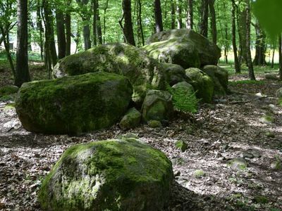 Zdjęcie przedstawia megality w Borkowie.