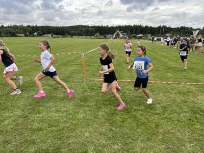 II Bieg bez Spinki w Niemicy - 25.08.2024 roku