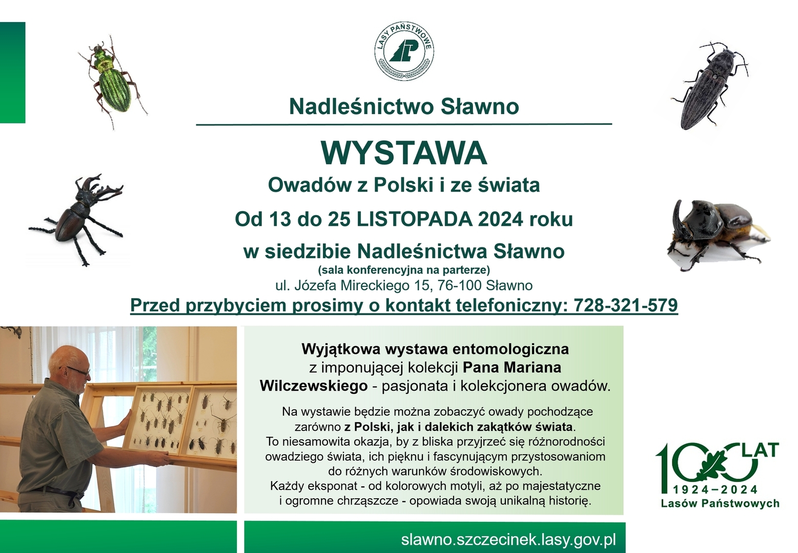 Plakat wystawy owadów