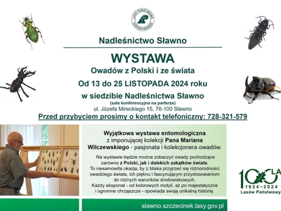 Plakat wystawy owadów