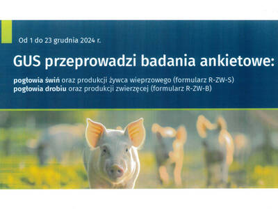 Plakat informacyjny GUS