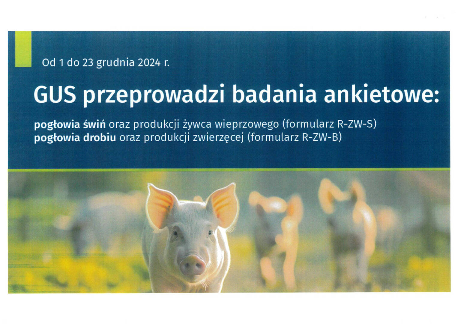 Plakat informacyjny GUS