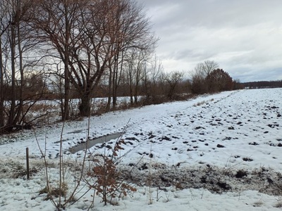 działka nr 201 obręb ewidencyjny Gorzyca