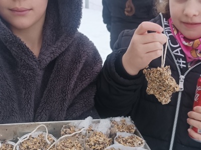 Wychowankowie rozwieszają na drzewach kule dla ptaków.