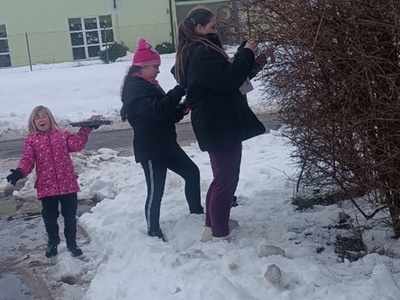 Wychowankowie rozwieszają na drzewach kule dla ptaków.