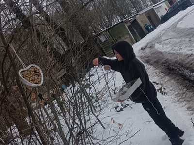 Wychowankowie rozwieszają na drzewach kule dla ptaków.