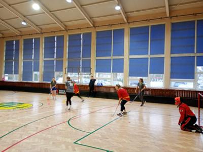 WOŚP-owy Turniej Unihokeja Pań w Niemicy