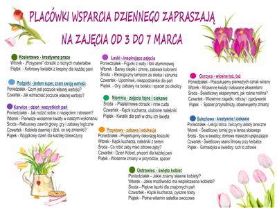 Harmonogram zajęc w PWD