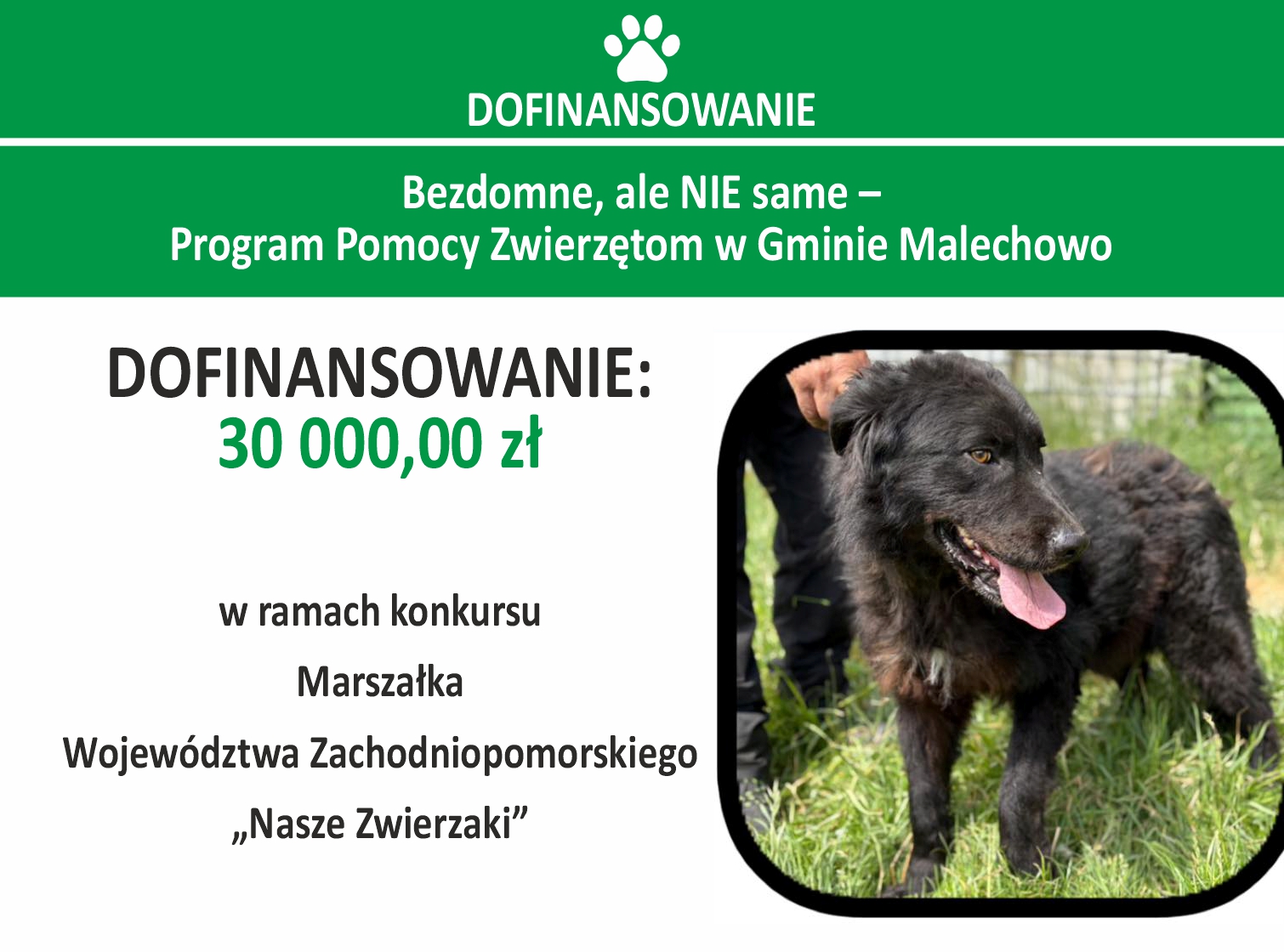 Ikona dekoracyjna przedstawiająca nazwę projektu oraz czarnego psa.