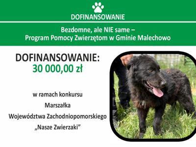 Ikona dekoracyjna przedstawiająca nazwę projektu oraz czarnego psa.