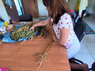 Zdjęcie przedstawia dzieci podczas wakacyjnych zajęć w PWD 