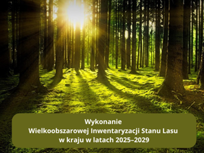 inwentaryzacja stanu lasu