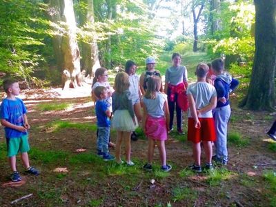 Zdjęcie przedstawia grupę wychowanków "Liski Urwiski" z Lasek podczas spaceru w lesie.