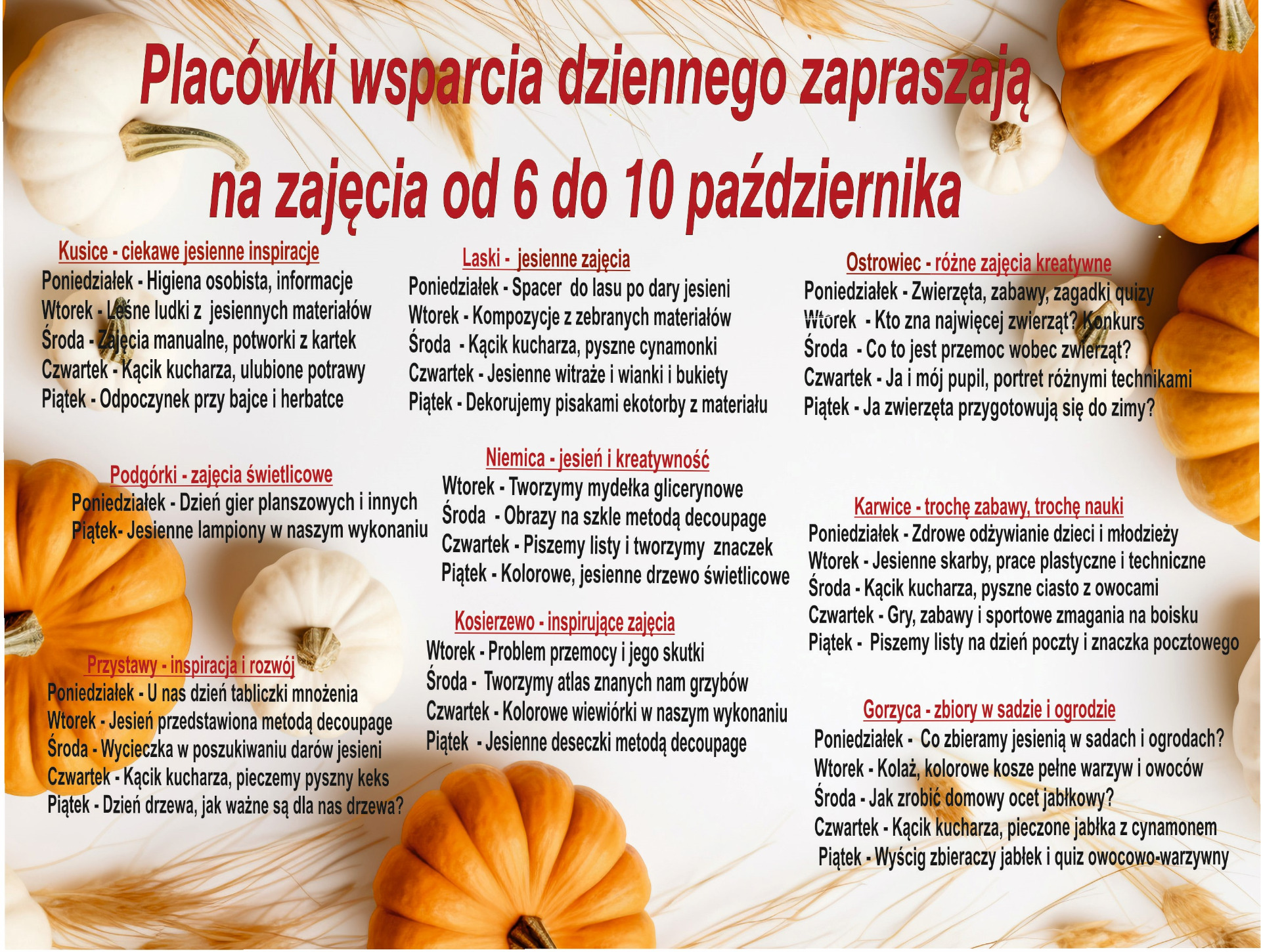 Harmonogram zajeć w PWD