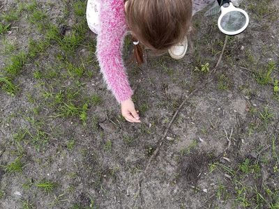 Zdjęcie przedstawia dziewczynkę podczas zajęć przyrodniczych w terenie. 