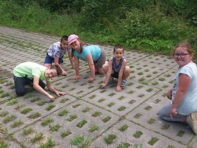 Zdjęcie przedstawia wychowanków PWD Laski na spacerze.