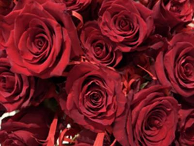 Uroczyste obchody Dnia Pracownika Socjalnego