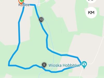 Zdjęcie przedstawia mapę, która obrazuje trasę, jaką przebyli wychowankowie w PWD Kusice wraz z opiekunami. 
