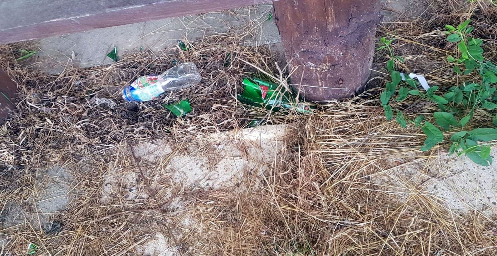 Zdjęcie przedstawia zaśmiecony teren w okolicy wiaty na boisku wiejskim w Malechówku.