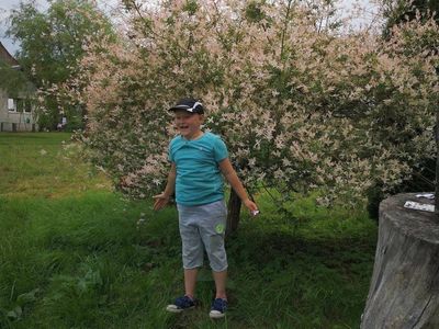 Zdjęcie przedstawia chłopca z Placówki Wsparcia Dziennego w Kusicach pozującego do zdjęcia. 