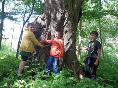Zdjęcie przedstawia wychowanków Placówki Wsparcia Dziennego z Kosierzewa podczas zajęć projektowych w terenie, którzy mierzą obwód drzewa. 