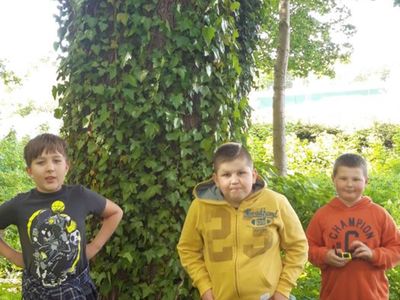 Zdjęcie przedstawia wychowanków Placówki Wsparcia Dziennego z Kosierzewa przy drzewie, które jest Pomnikiem Przyrody Prawem Chronionym.