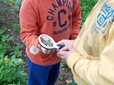 Zdjęcie przedstawia dwóch wychowanków Placówki Wsparcia Dziennego z Kosierzewa z lupą, który podziwiają roślinność.