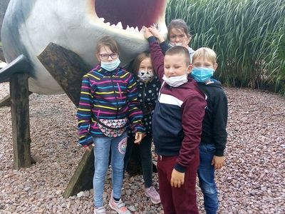 Zdjęcie przedstawia grupkę dzieci z PWD z Lasek z makietą rekina w Sea Parku.