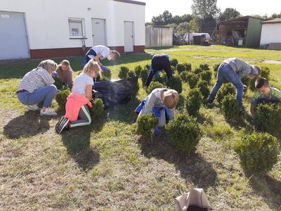 Zdjęcie przedstawia klasę 4 ze Szkoły Podstawowej w Niemicy, która dba o ogród szkolny.