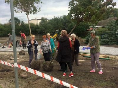Zdjęcie przedstawia uczestników projektu podczas nasadzeń terenu rekreacyjnego przy Domu Wiejskim w Ostrowcu.