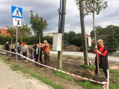 Zdjęcie przedstawia uczestników projektu podczas nasadzeń terenu rekreacyjnego przy Domu Wiejskim w Ostrowcu.