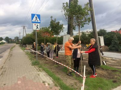 Zdjęcie przedstawia uczestników projektu podczas nasadzeń terenu rekreacyjnego przy Domu Wiejskim w Ostrowcu.