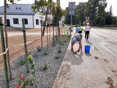 Zdjęcie przedstawia panie z Klubu Seniora w Ostrowcu sprzątające teren przy Domu Wiejskim w Ostrowcu. 
