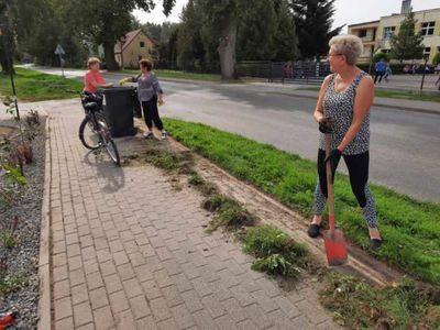 Zdjęcie przedstawia panie z Klubu Seniora w Ostrowcu sprzątające teren przy Domu Wiejskim w Ostrowcu. 